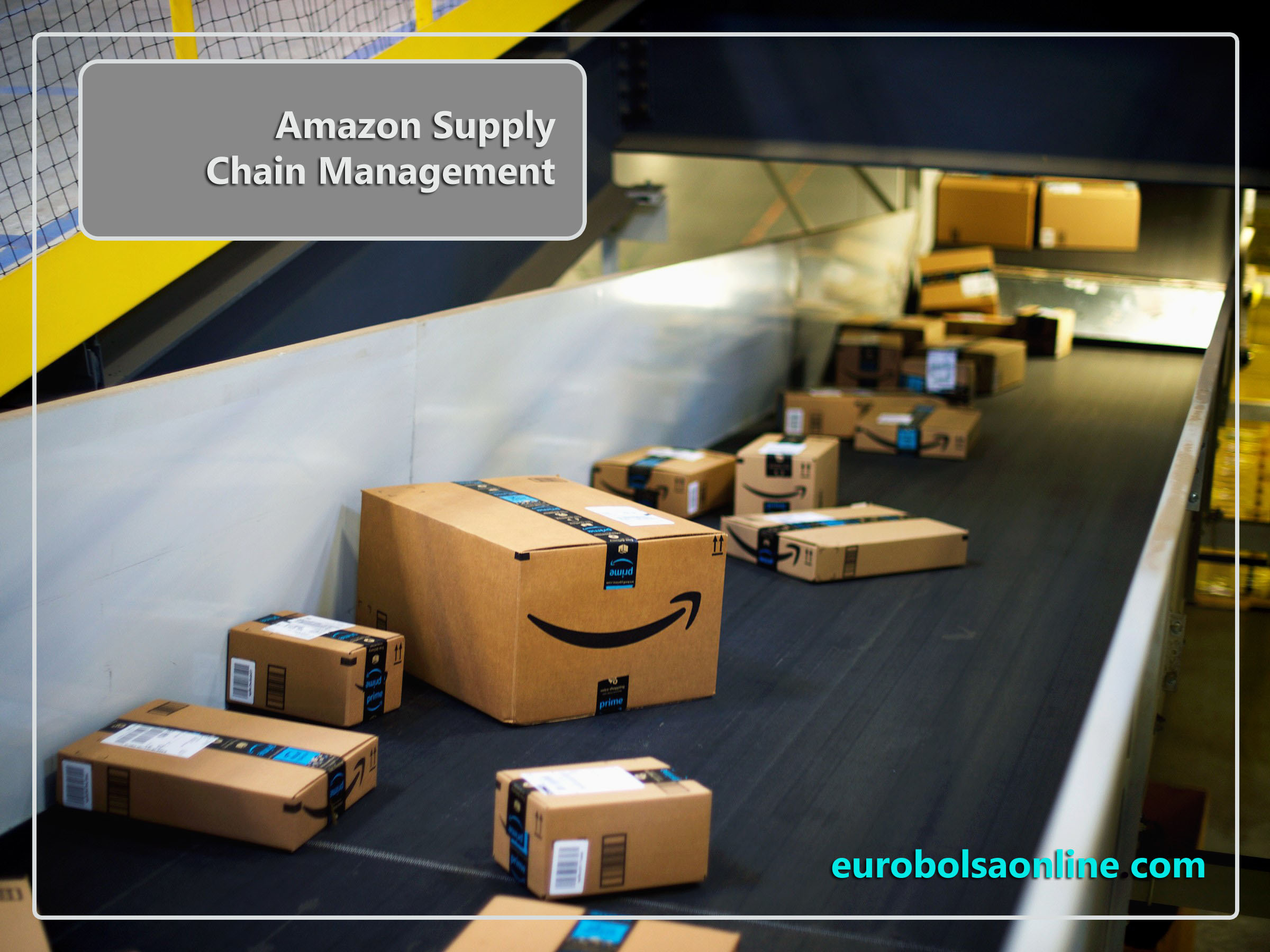 Amazon Supply Chain Management and Third Party Logistics