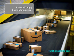 Amazon Supply Chain Management and Third Party Logistics