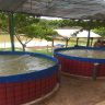 5 Small Scale Fish Farming Business Ideas You Should Consider Investing In