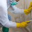 How Do Mold Removal Companies Get the Job Done?