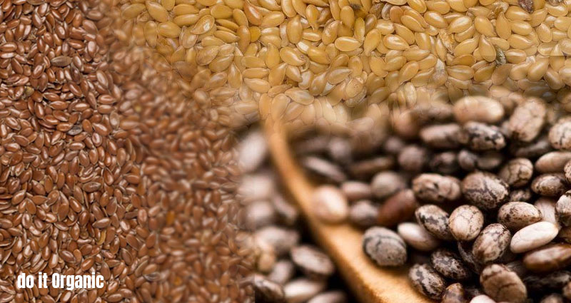 How to Buy Bulk Organic Seeds for Your Business